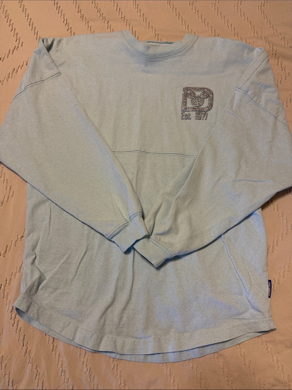 Disney Light Blue Long Sleeve Pullover with Logo